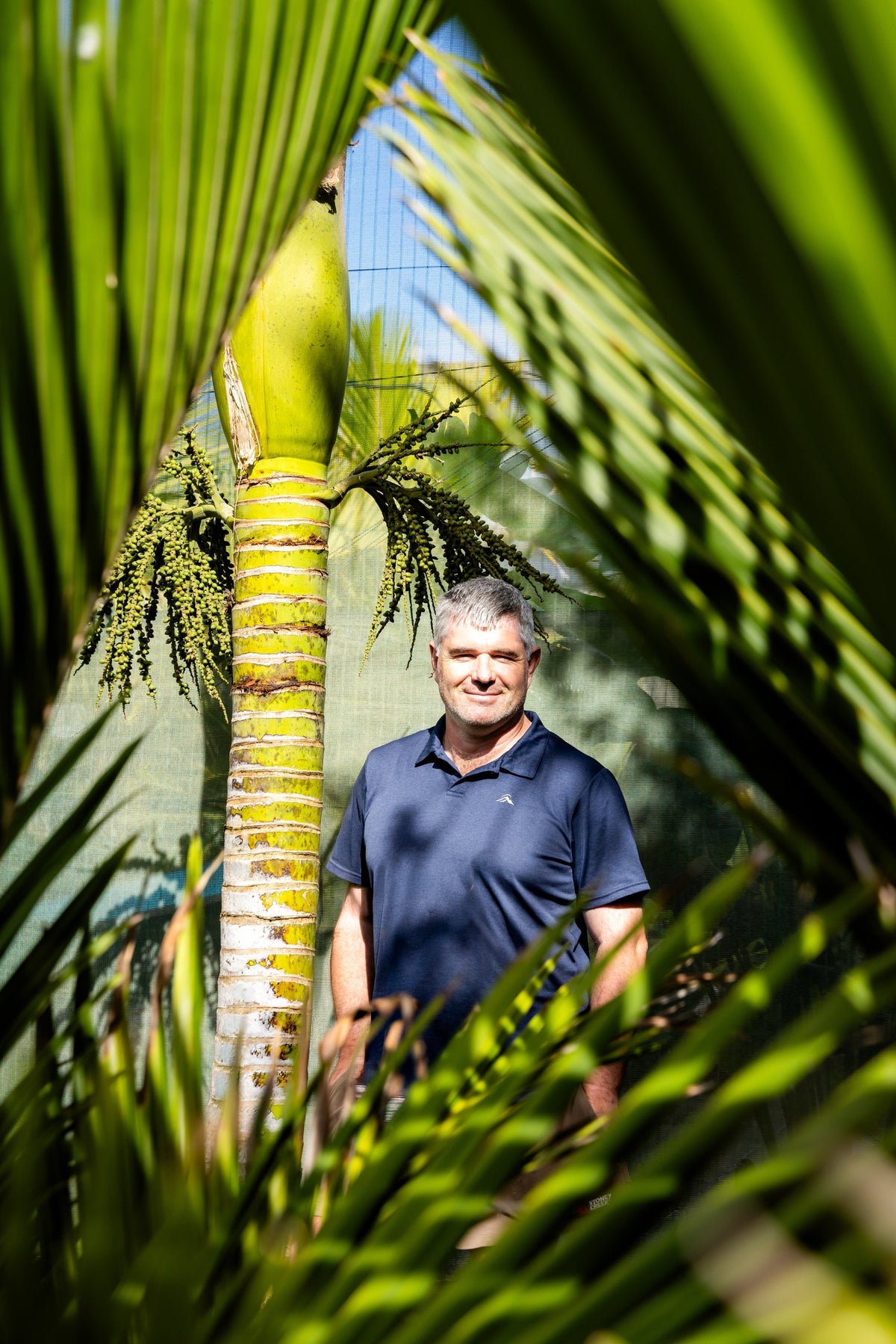 Palm Care