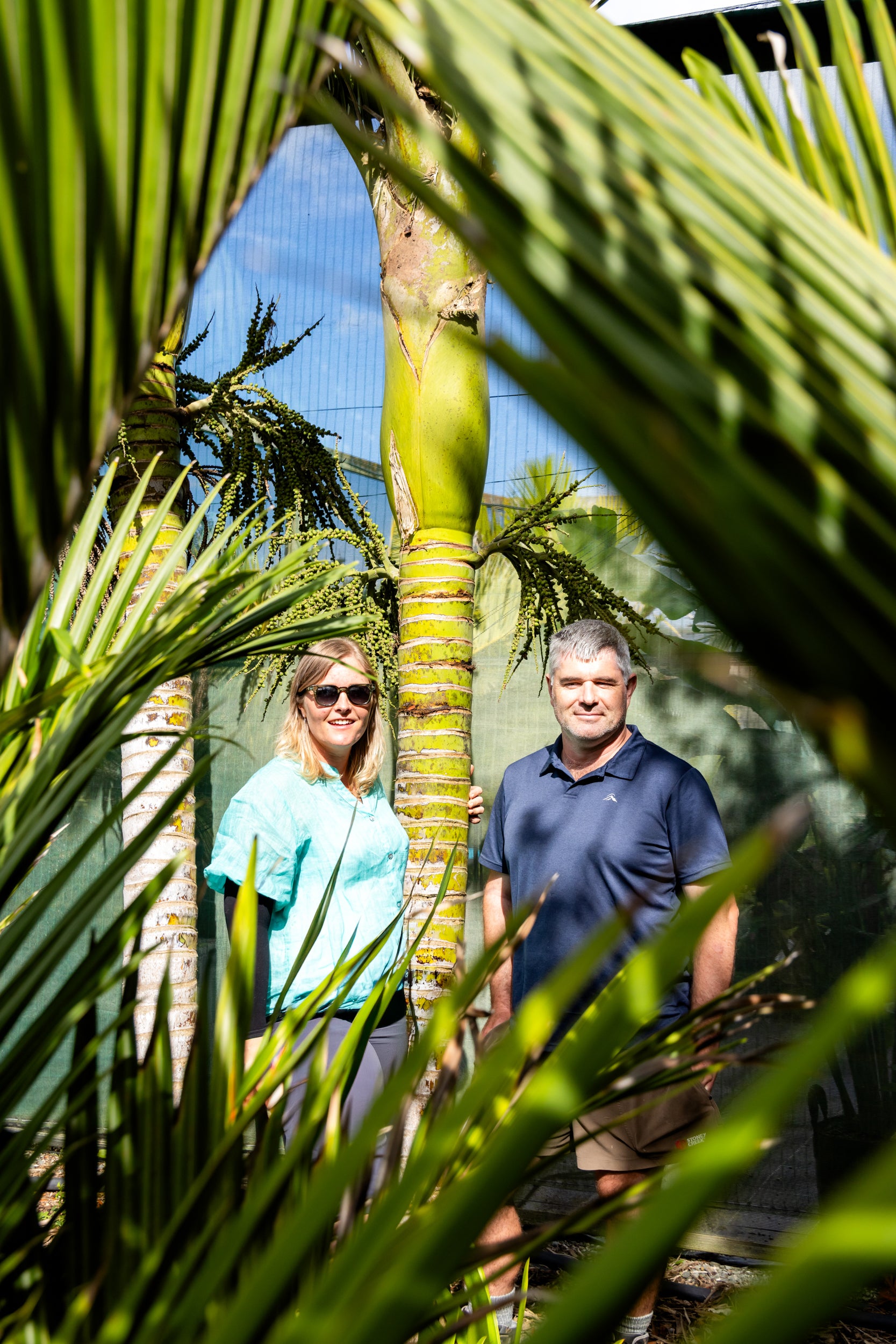 Palms Garden Tour