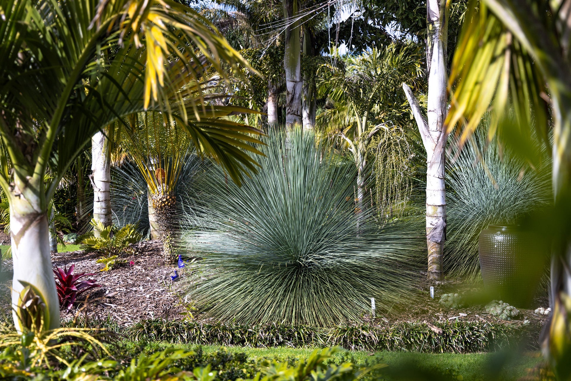 Palms Garden Tour