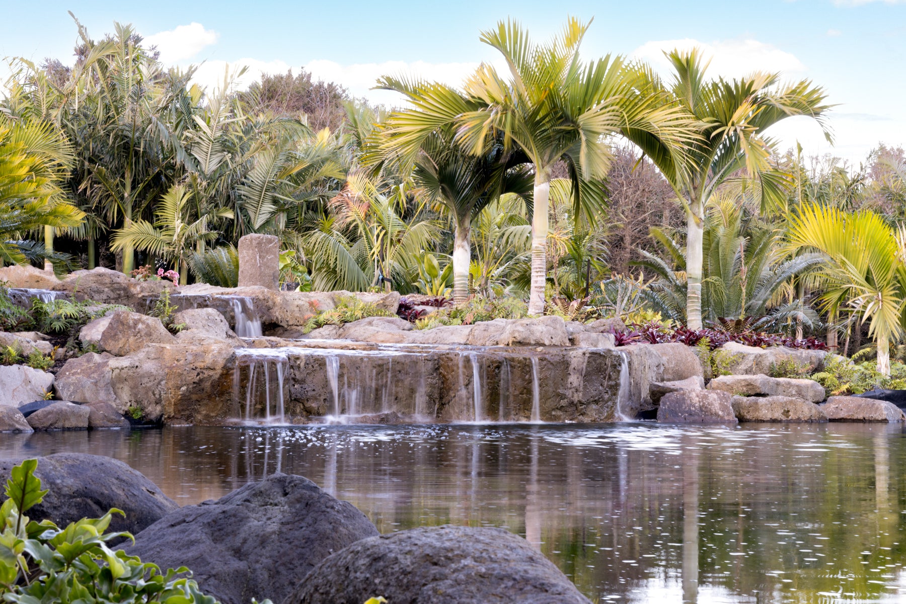 Palms Garden Tour