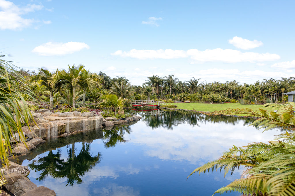Palms Garden Tour