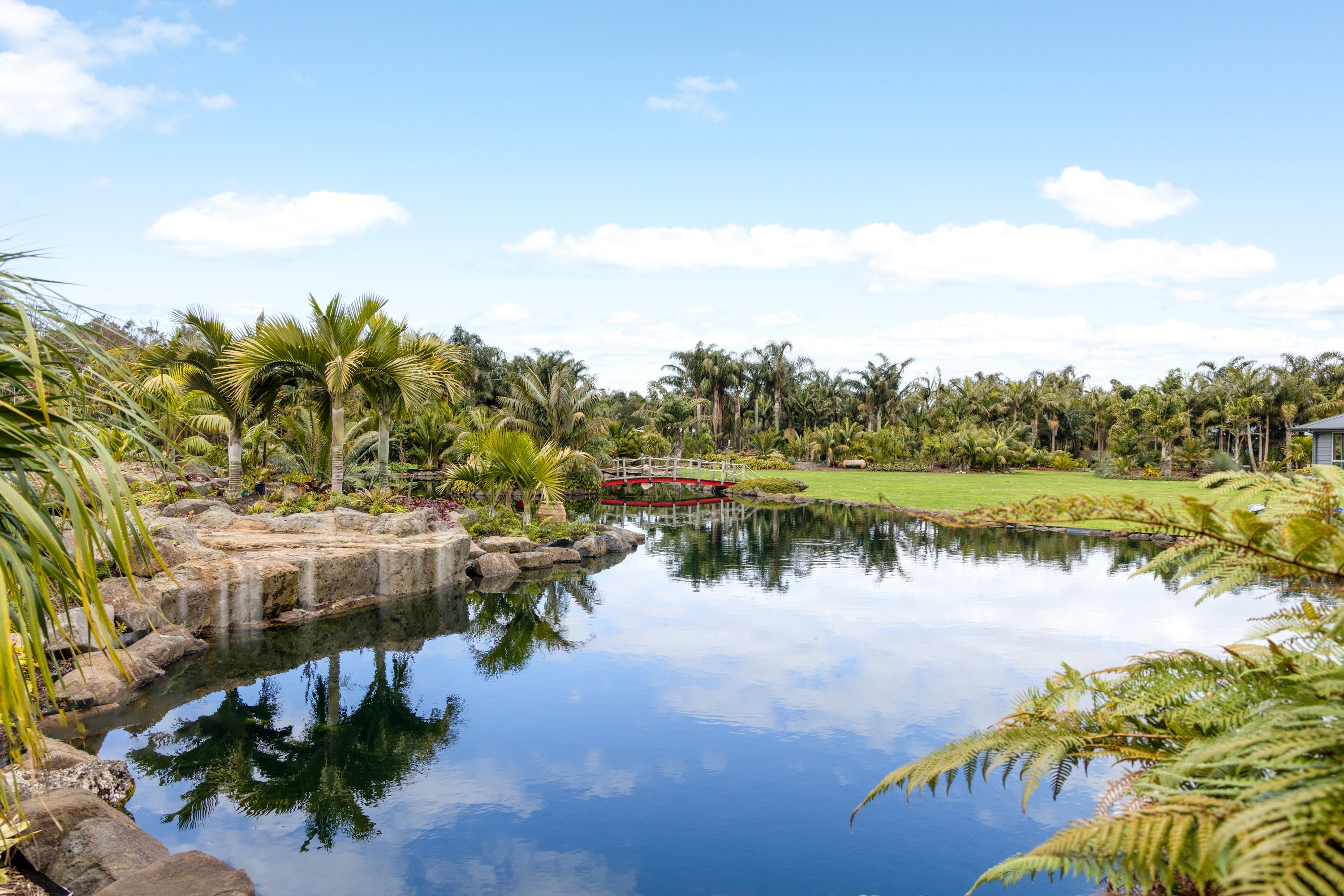 Palms Garden Tour